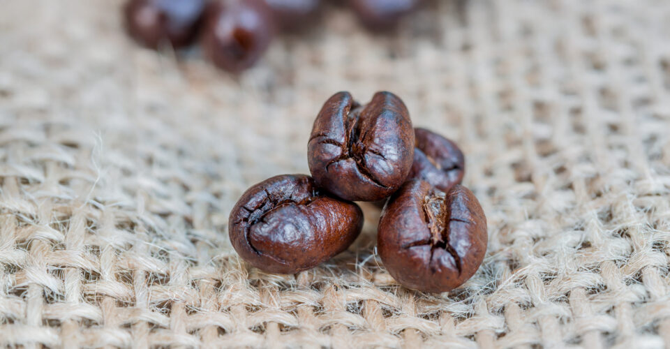 PEABERRY-03